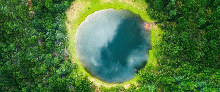 Circular pool of water surrounded by trees